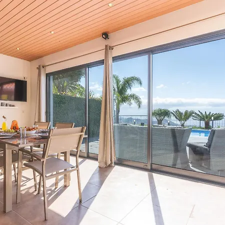 Palm Paradise By Ah Câmara de Lobos