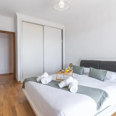 Palm Paradise By Ah Câmara de Lobos