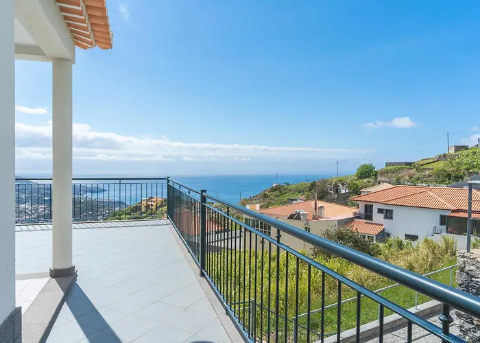 Palm Paradise By Ah カマラ・デ・ロボス