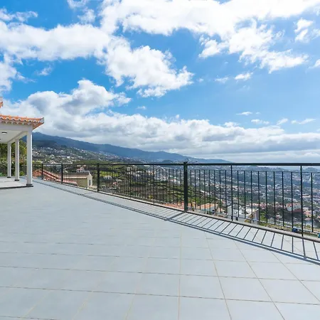 Palm Paradise By Ah *