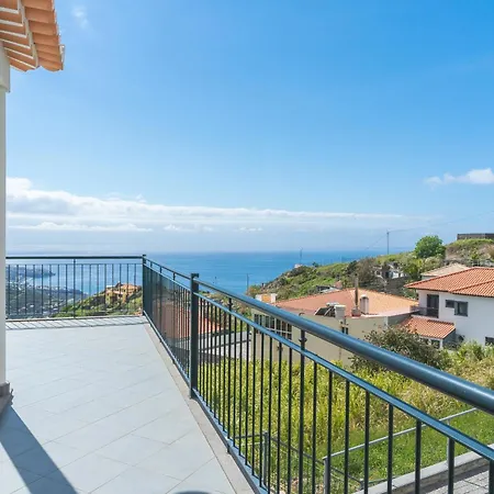 Palm Paradise By Ah Câmara de Lobos