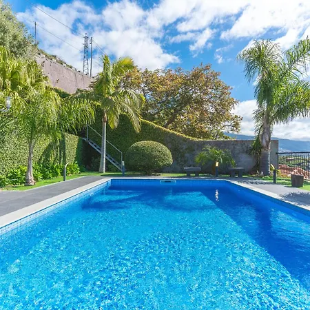 Palm Paradise By Ah Câmara de Lobos