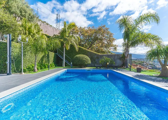 Palm Paradise By Ah 卡马拉-德洛布什